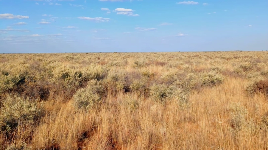 Commercial Property for Sale in Barkly West Northern Cape